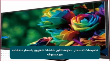 تخفيضات الأسعار.. حكومة تطرح شاشات تلفزيون بأسعار منخفضة غير مسبوقة